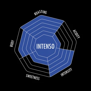 Bialetti Zrnková káva "Intenso" 500g