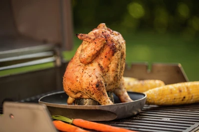 WEBER Stojan na hydinu Deluxe 6731