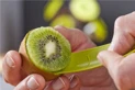 Tomorrow´s Kitchen Obal na kiwi s krájačom na spracovanie