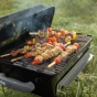 Weber Gril na drevené uhlie Go-Anywhere