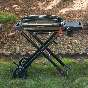 Weber Prenosný plynový gril Weber Traveler®