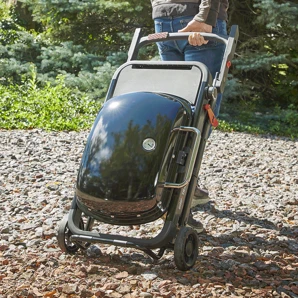 Weber Prenosný plynový gril Weber Traveler®