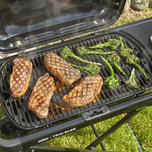 Weber Prenosný plynový gril Weber Traveler®