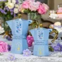 Bialetti Moka Express "Bridgerton" na 3 šálky