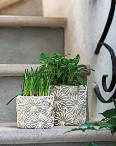 Rituali Domestici Kvetináč "Comelanice" veľkosť L - priemer 18,5 cm