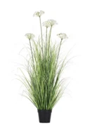 Umelý fenikel v kvetináči Piantala Finocchio Selvatico