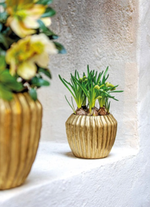 Rituali Domestici Kvetináč "Solchi Oro" veľkosť M - priemer 16,5 cm