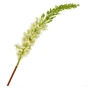 Umelý kvet Eremurus Bianco